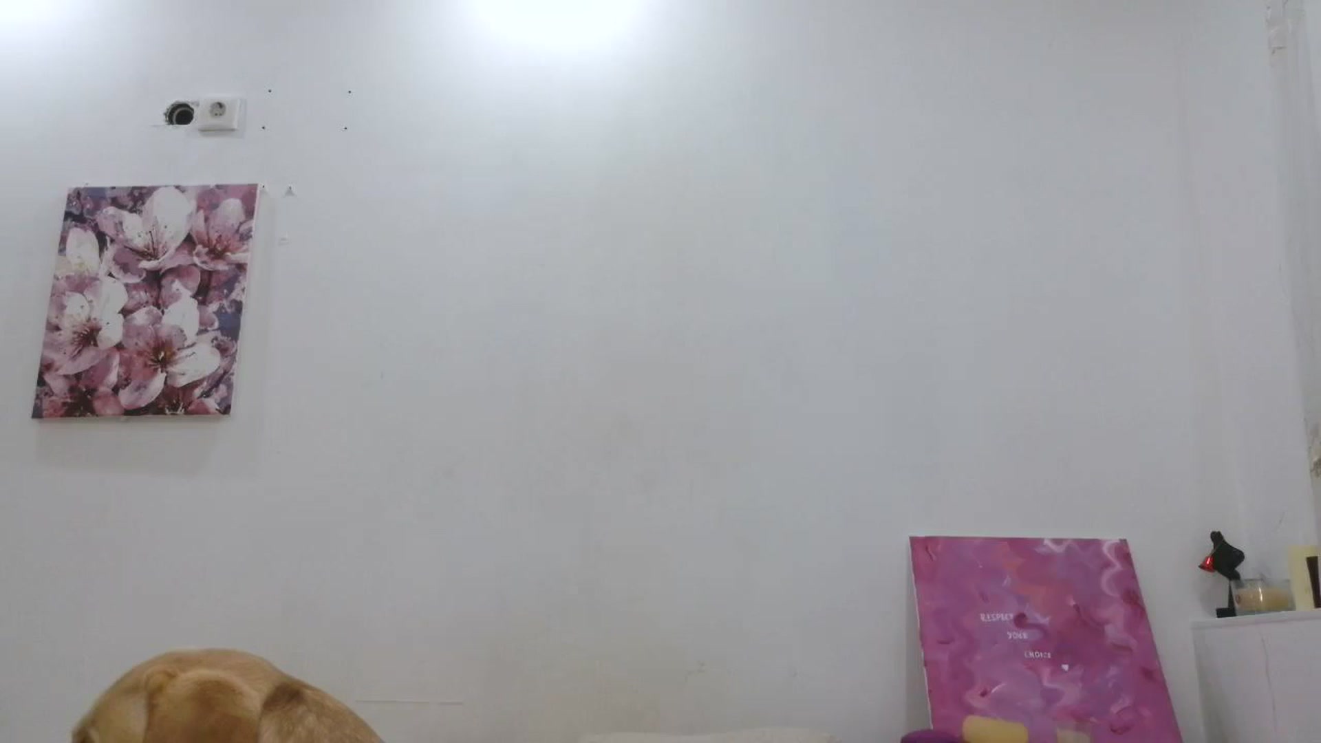 HaleyReed video thumbnail
