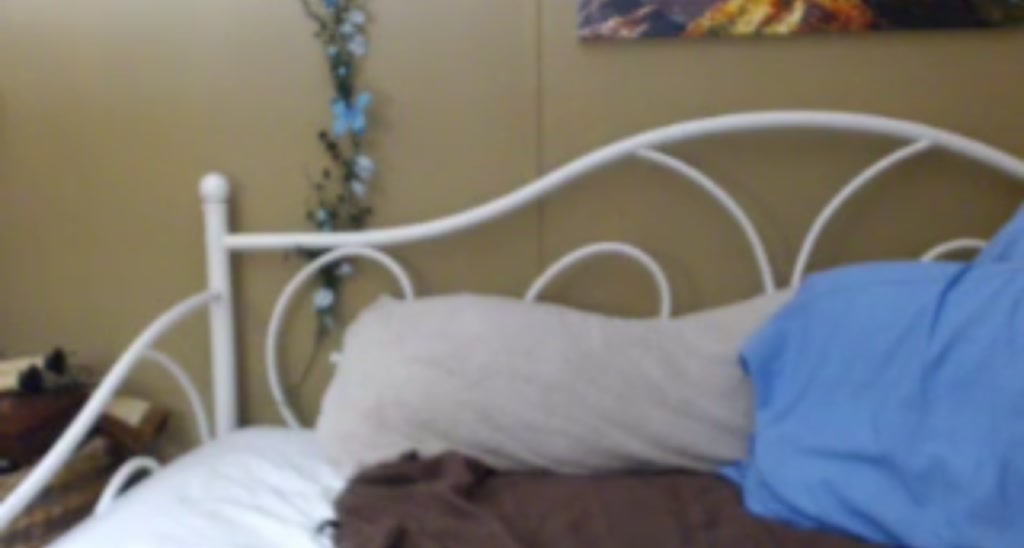 DaisyDestin video thumbnail