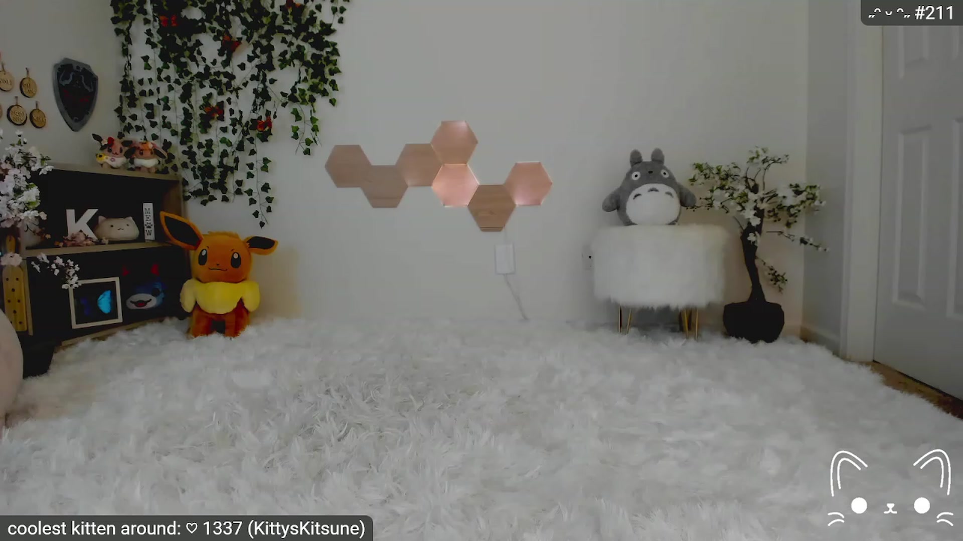 Kitty video thumbnail