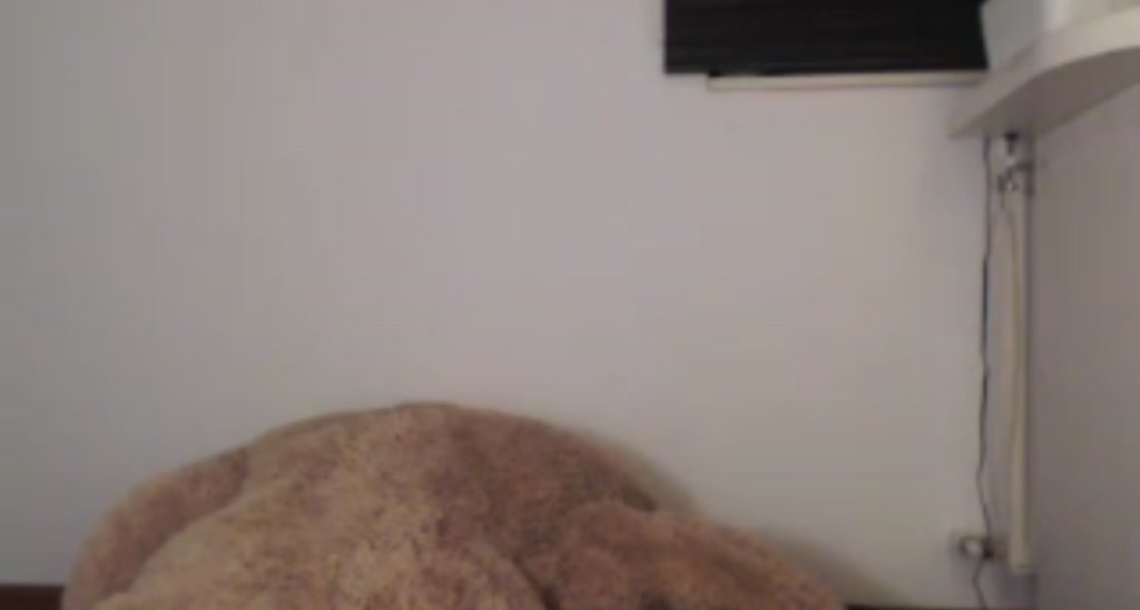 SunBunny_ video thumbnail