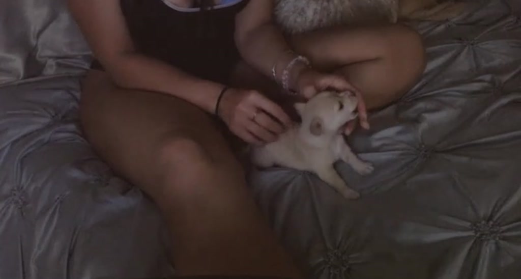 xo_esme video thumbnail