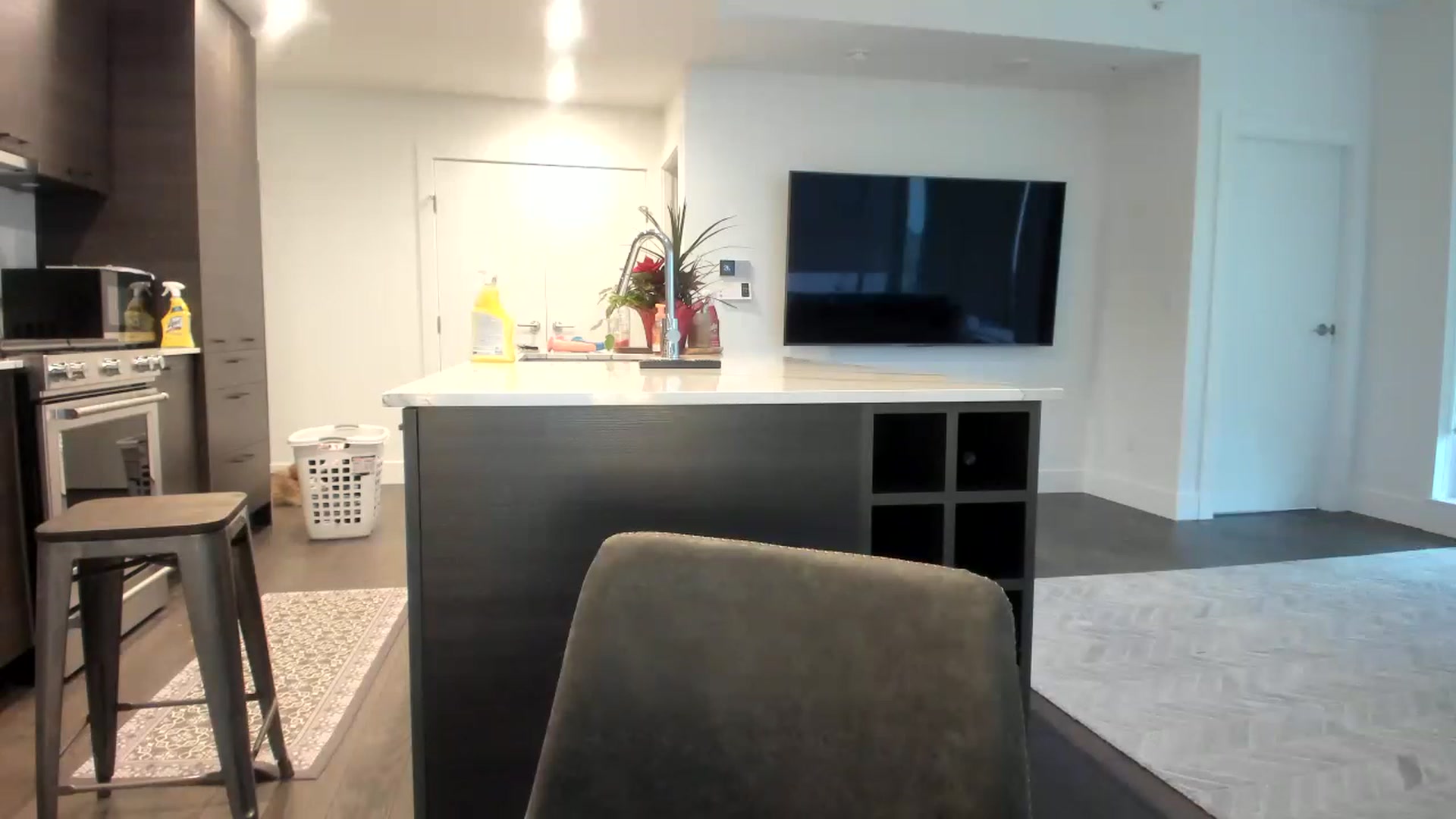 Mollyboots video thumbnail