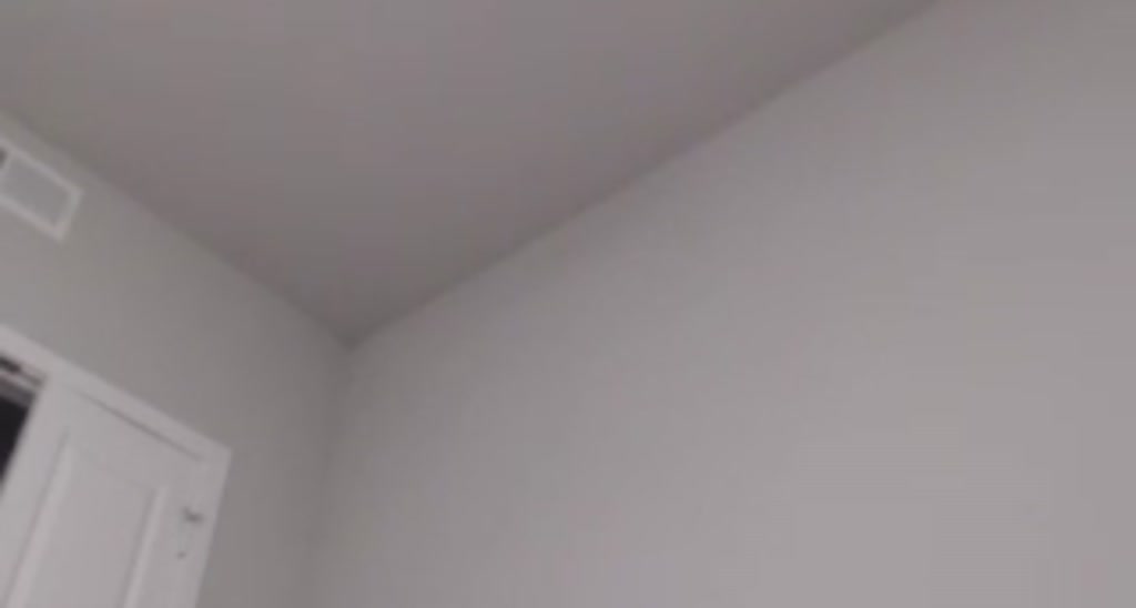 Kitten_Ginger video thumbnail