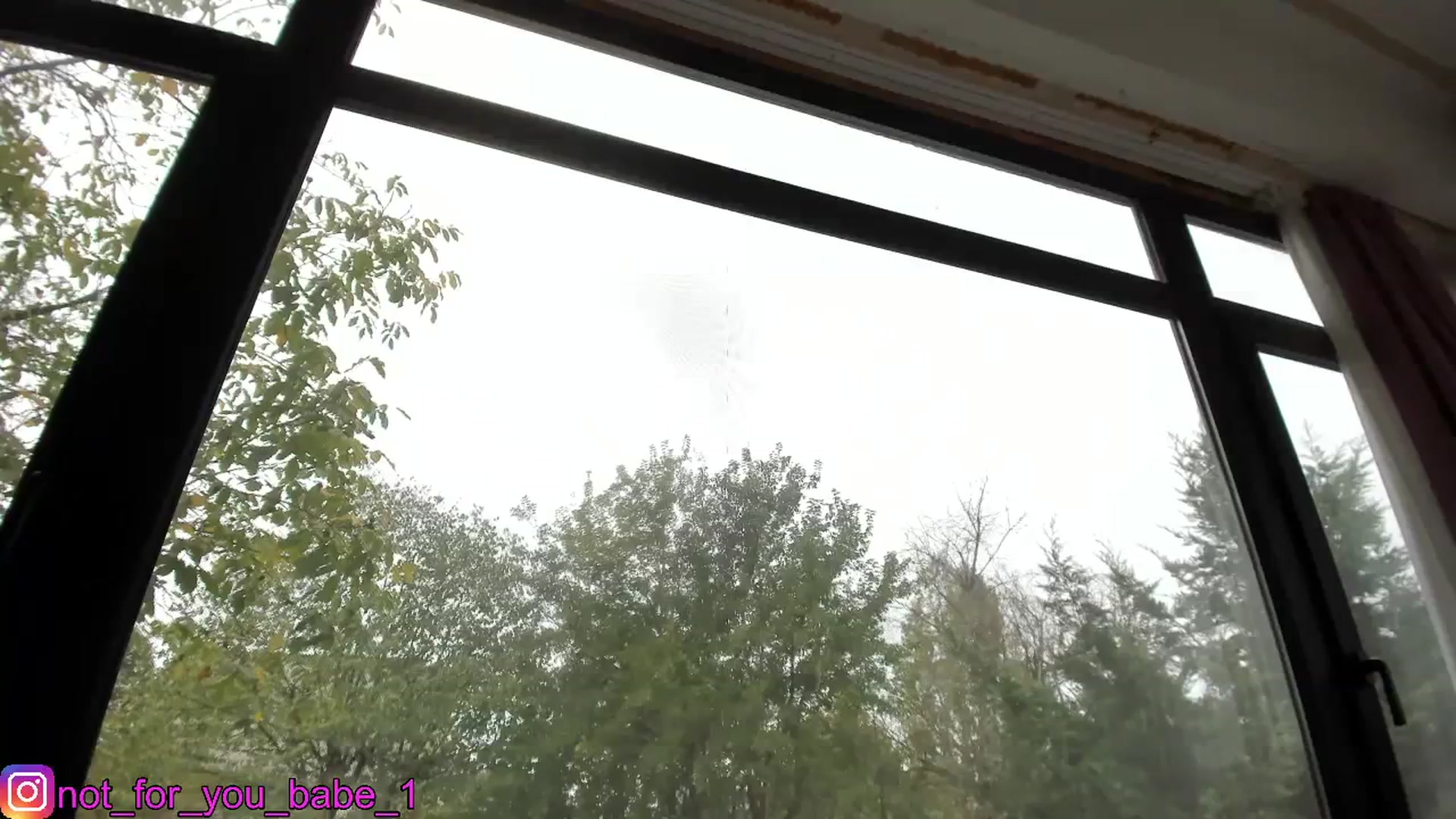 m1ss_Ariana video thumbnail