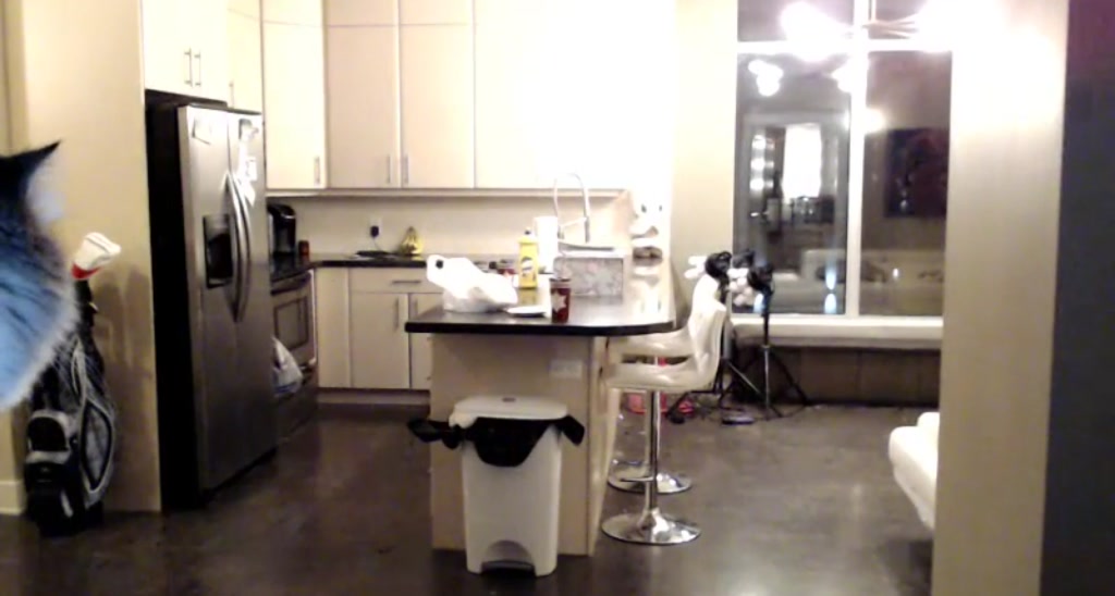Mollyboots video thumbnail