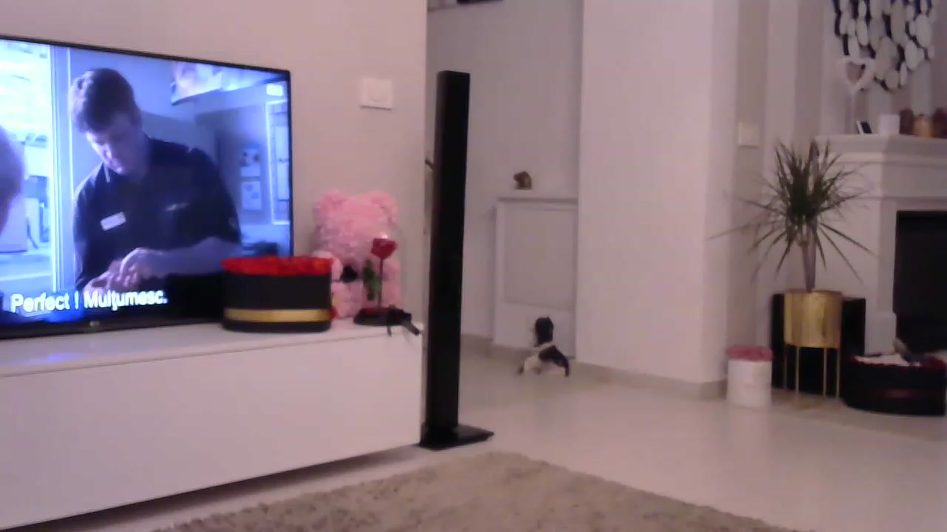 Missy_alena video thumbnail