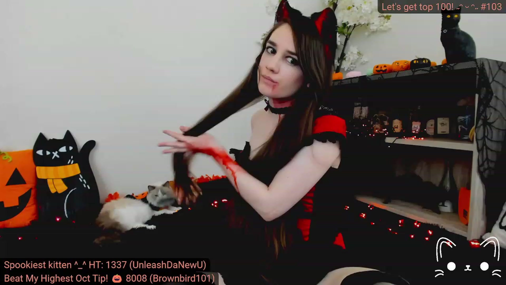 Kitty video thumbnail
