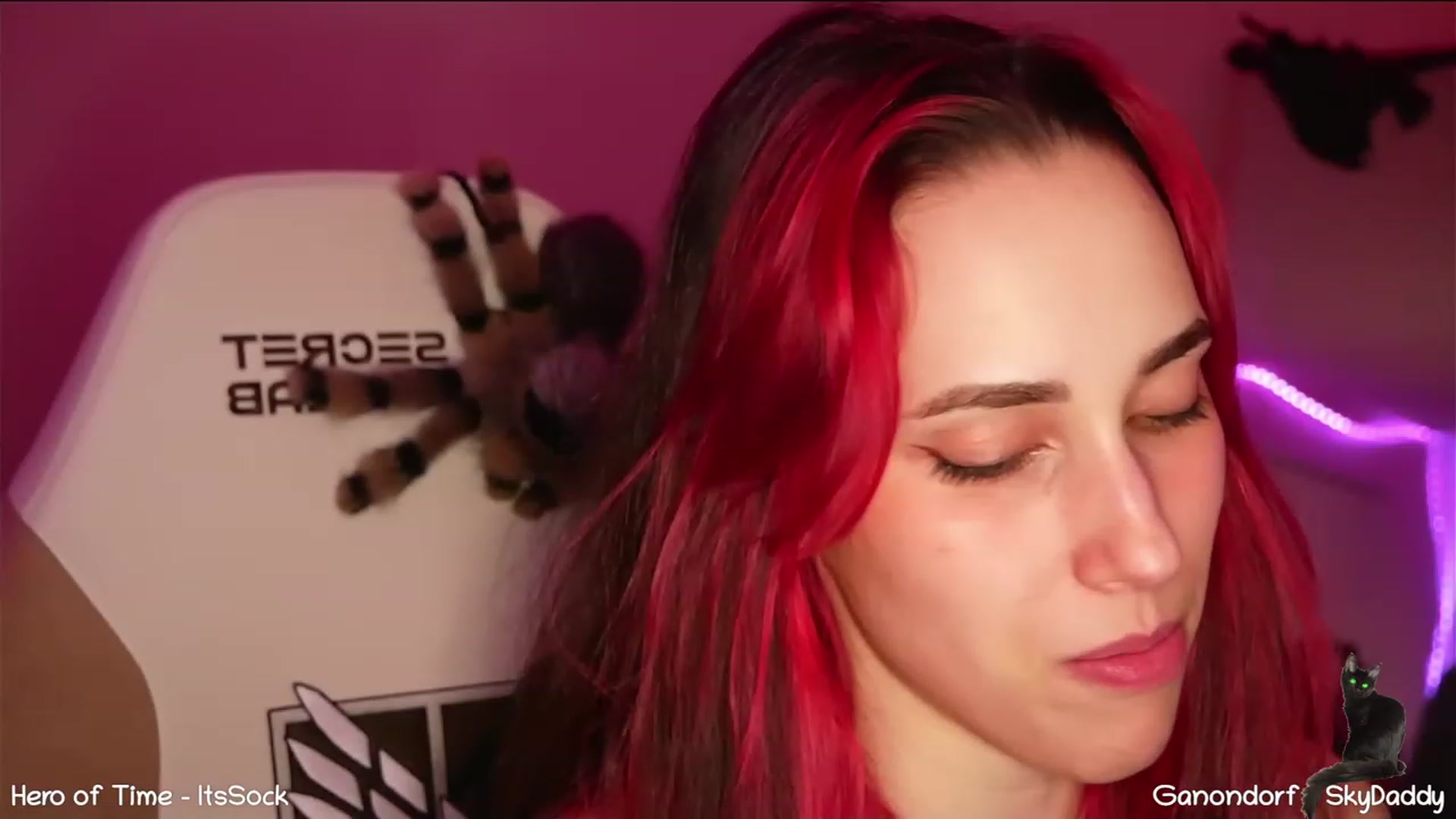 Dashy video thumbnail