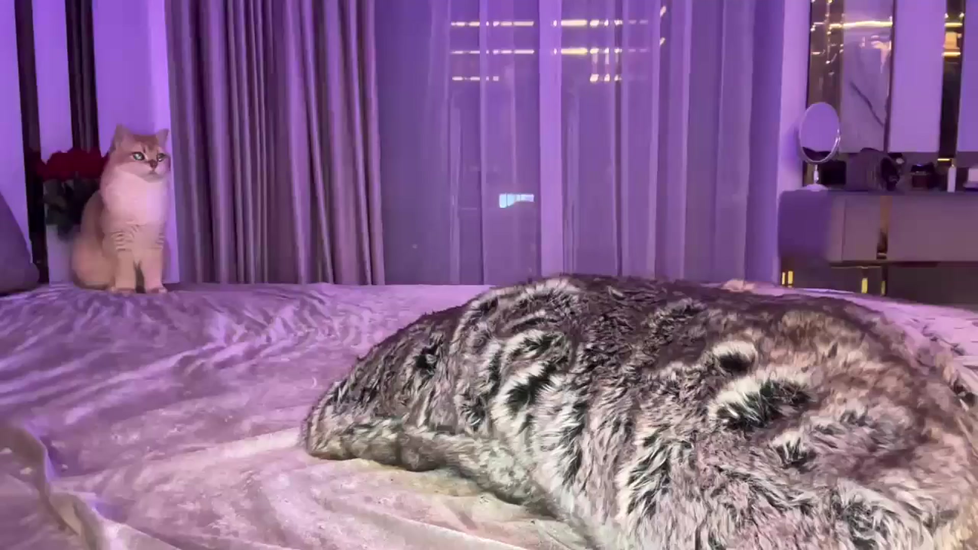 UGLYGIRL_ video thumbnail