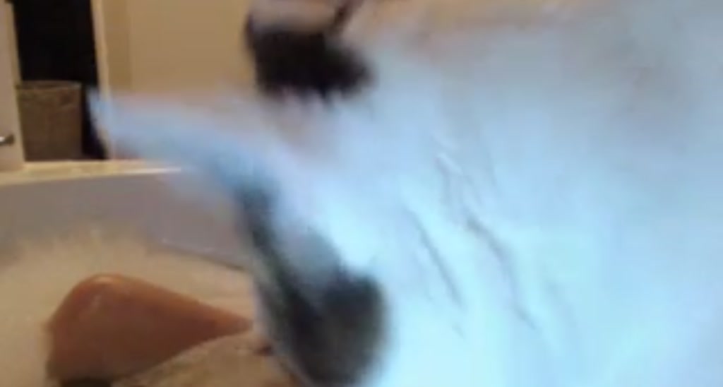Kitten_xx video thumbnail