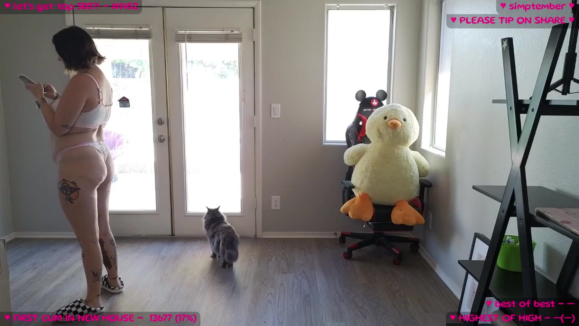 MollyMeowz video thumbnail