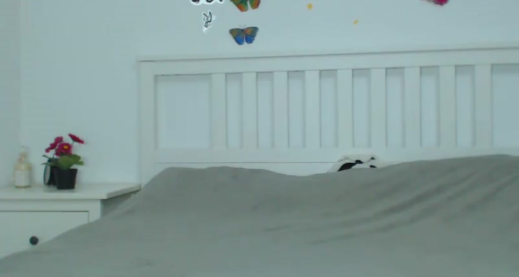 Anne_Bells video thumbnail