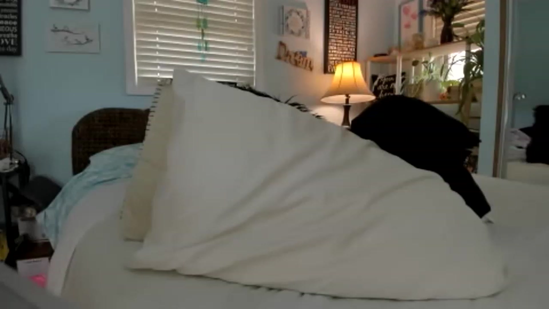 thewolfof_MFC video thumbnail