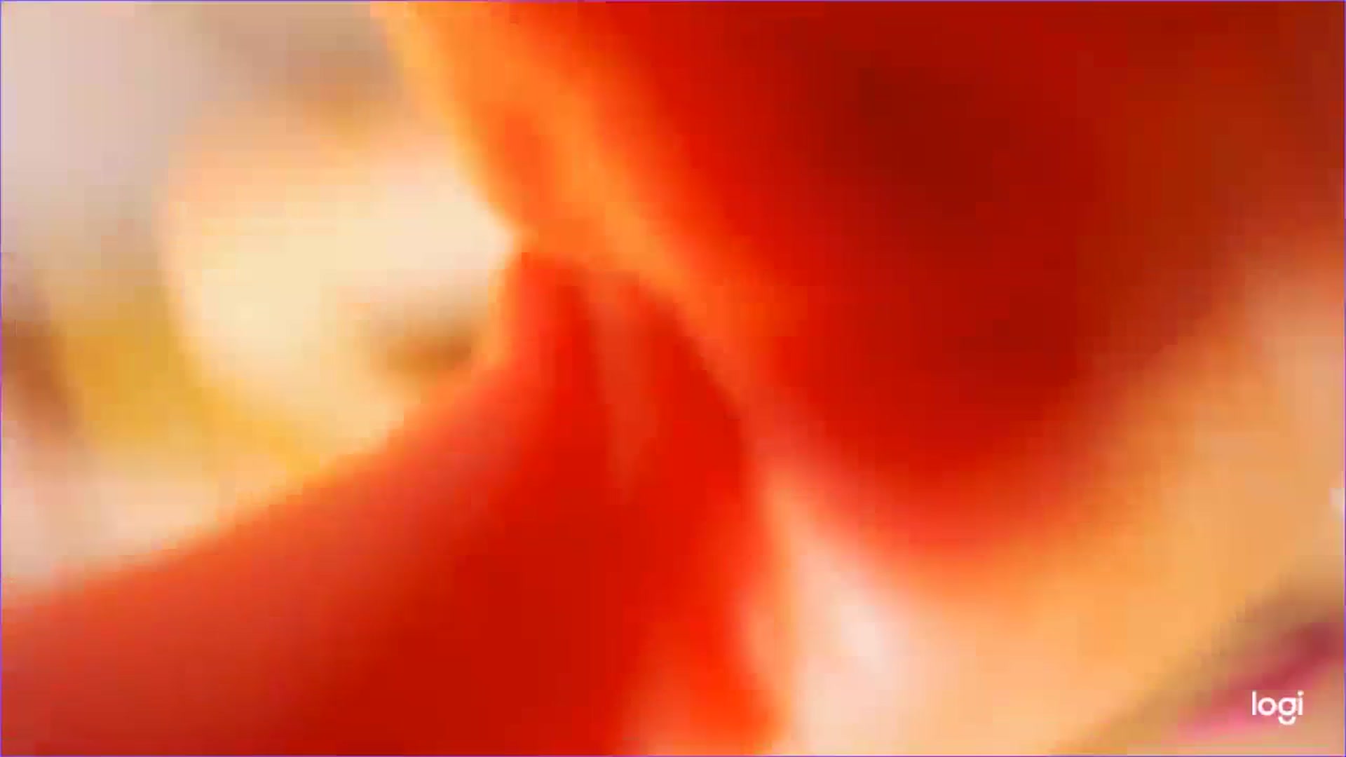 FlamingoDream video thumbnail
