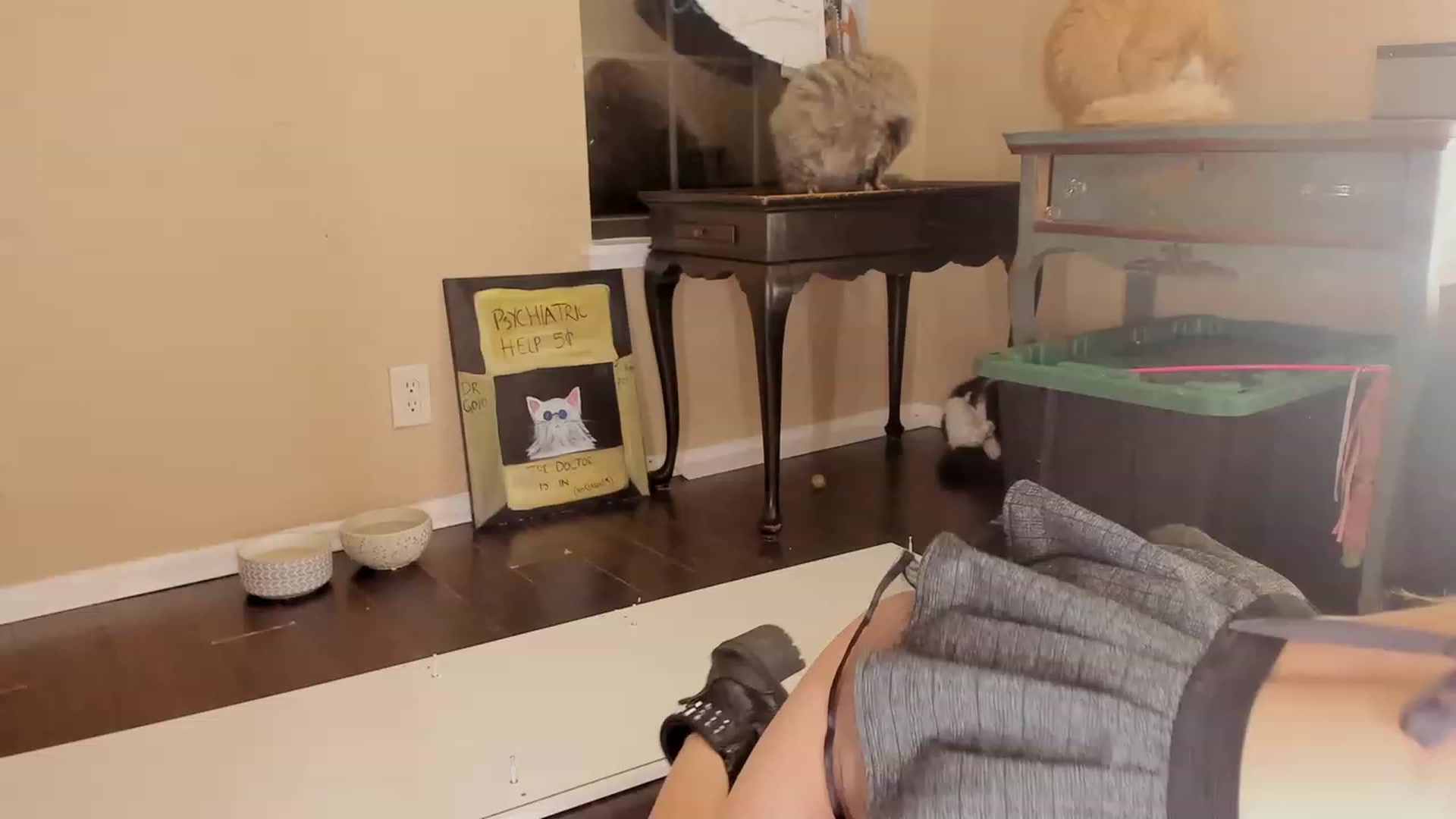 NaomiDee video thumbnail
