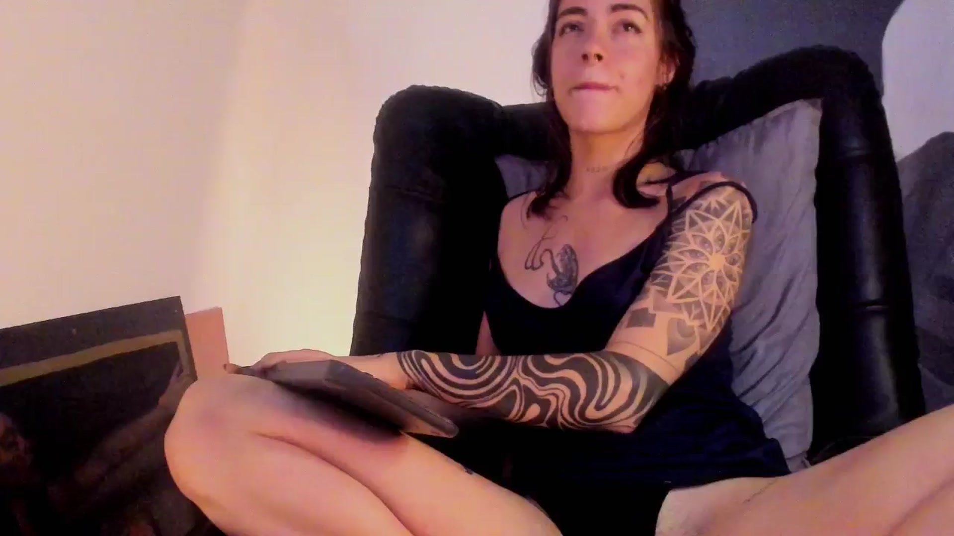SilverHase2 video thumbnail