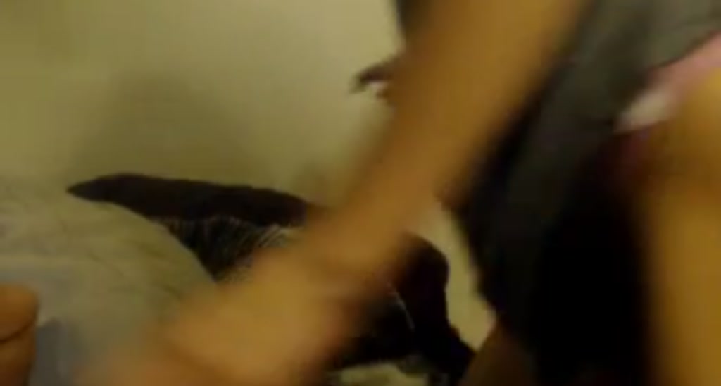 mollysimms video thumbnail