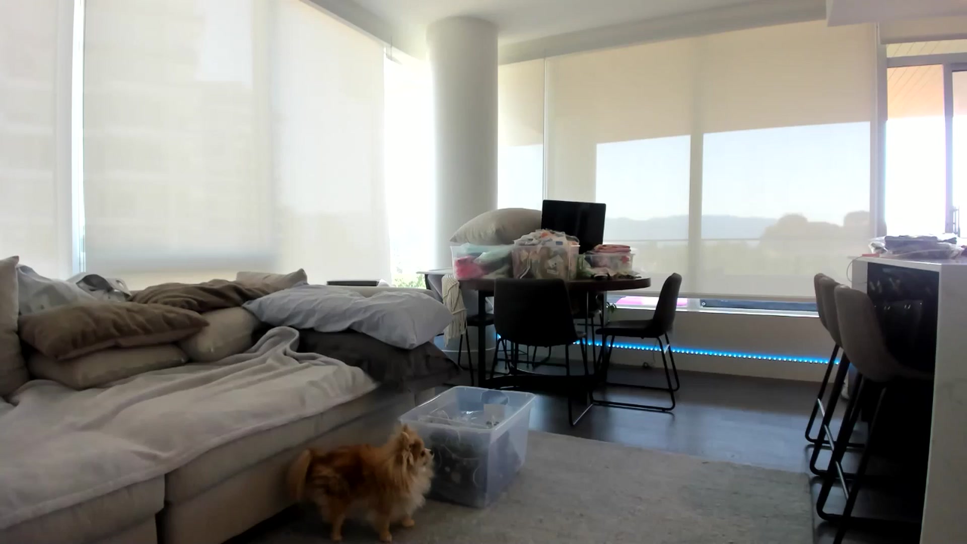 Mollyboots video thumbnail