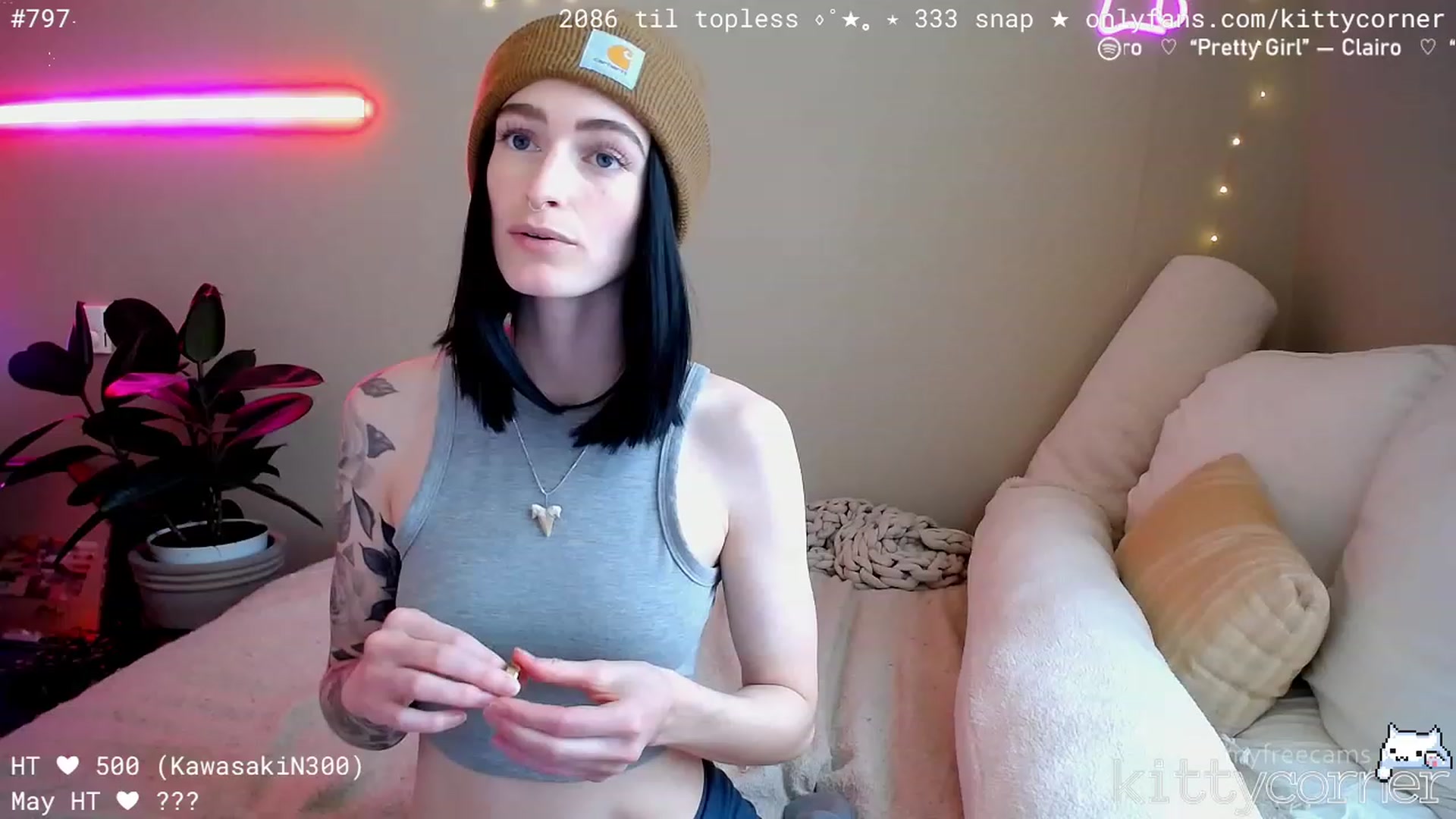 KittyCorner video thumbnail