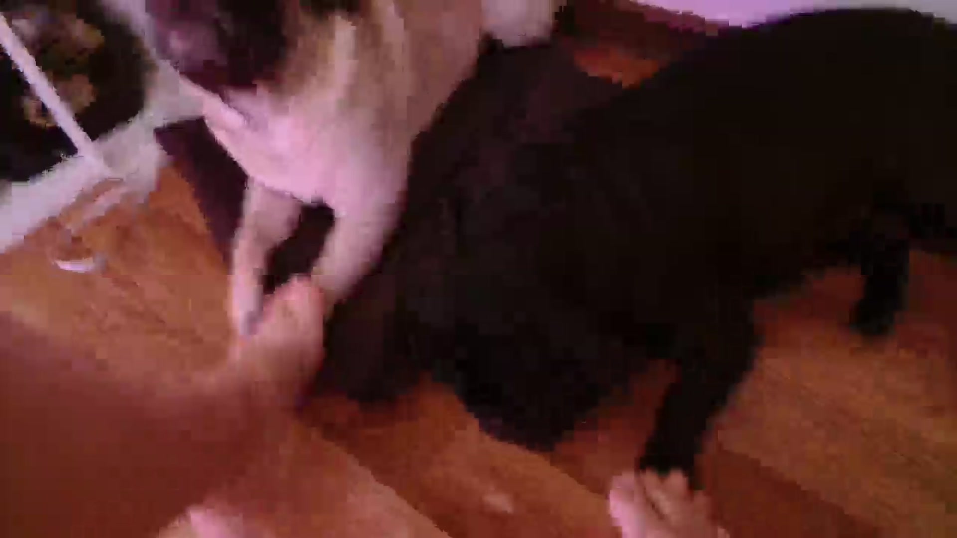 FunnyMinni video thumbnail