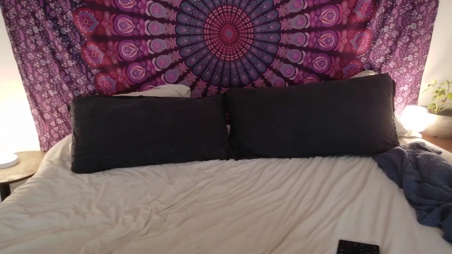eh1_Scarlett video thumbnail