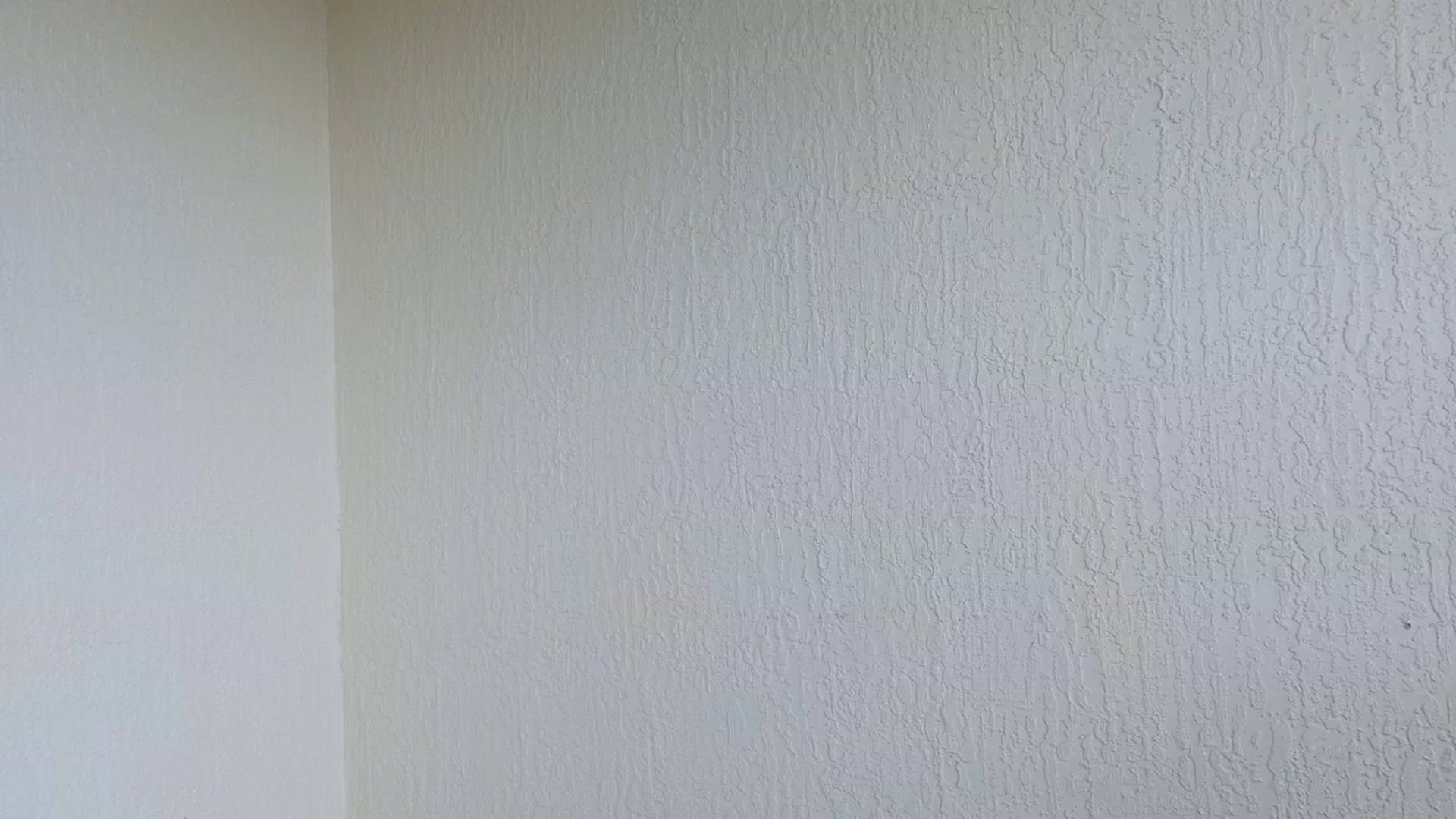 Ms_WetNWild video thumbnail