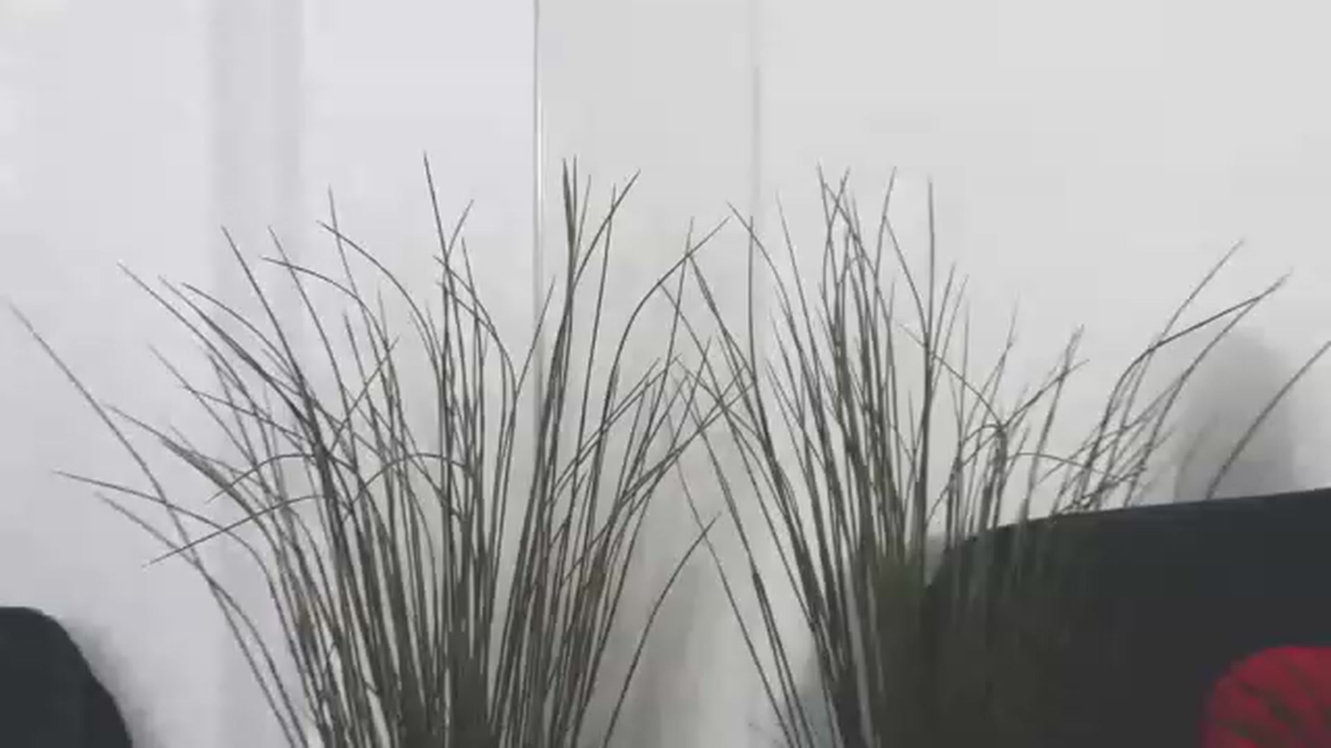 Radiance video thumbnail