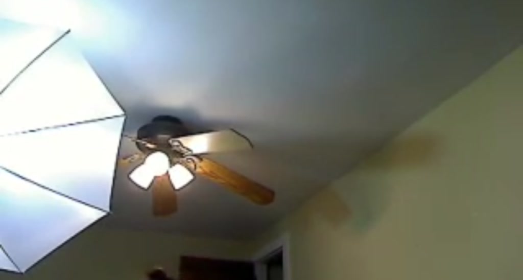 Dannigee video thumbnail