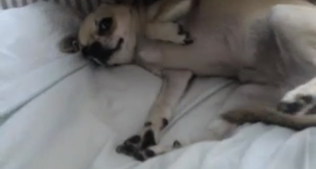 Georgieghee video thumbnail