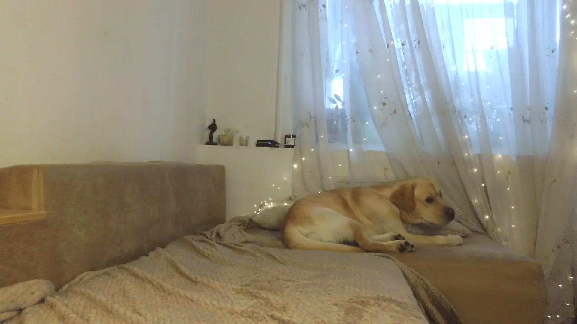 HaleyReed video thumbnail
