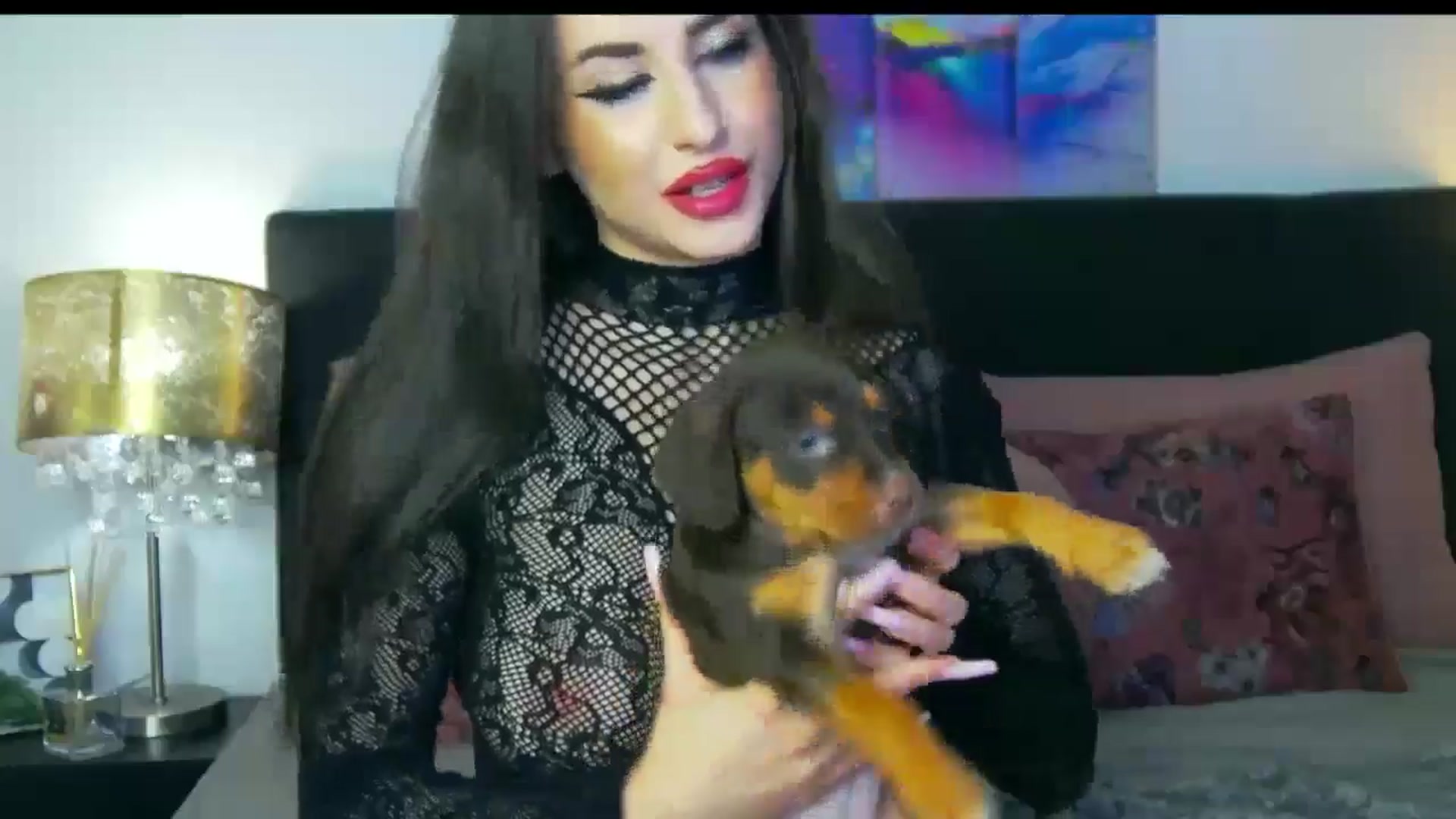 Sofiewild video thumbnail