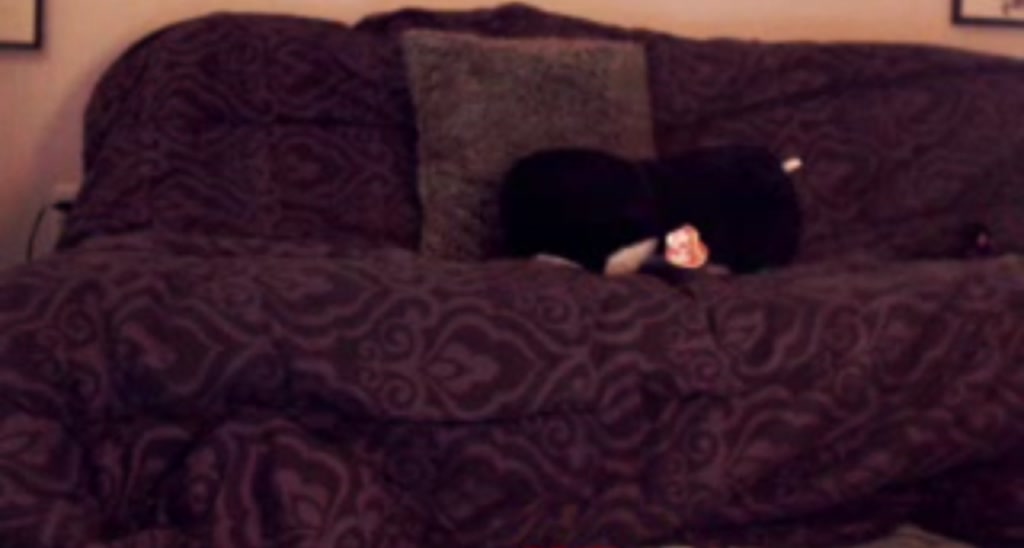 TigerLilygirl video thumbnail