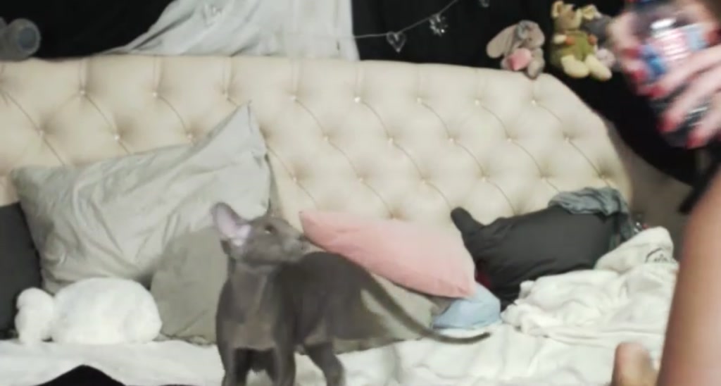 HurricaneKat_ video thumbnail