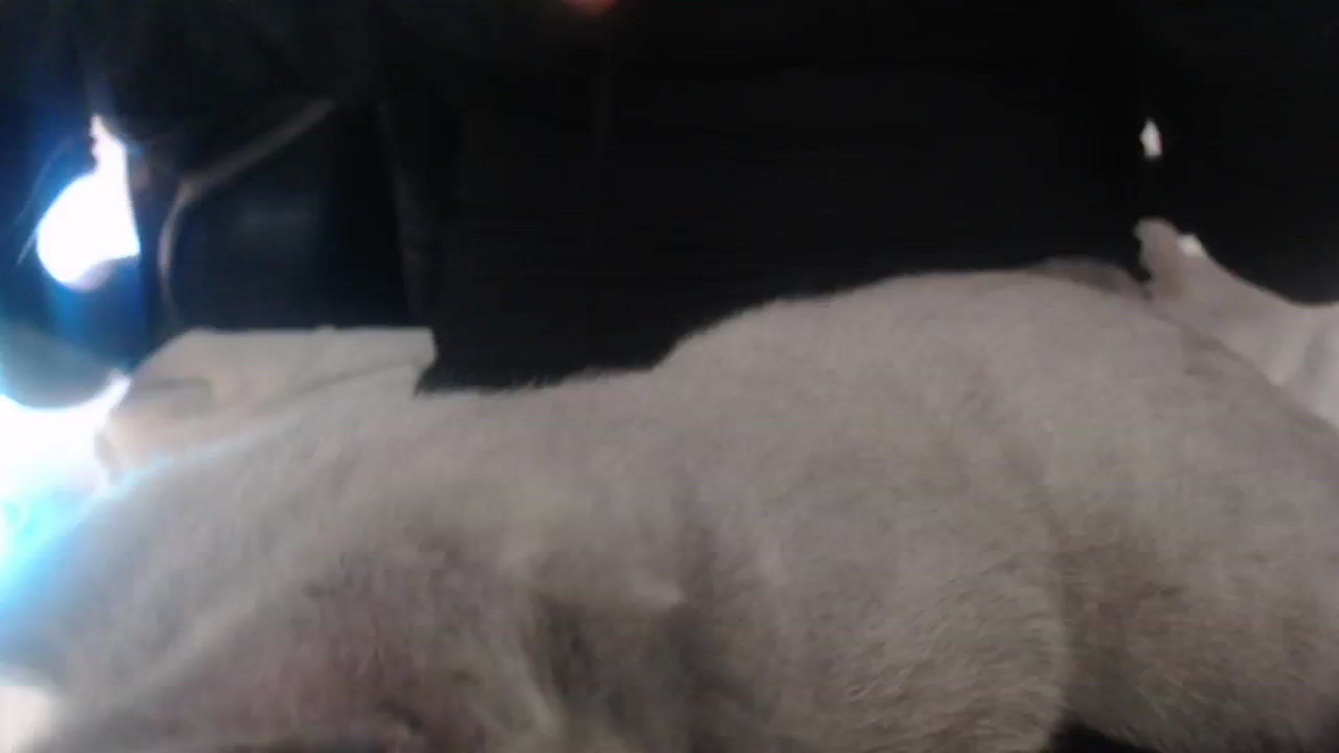 Crystal_MFC video thumbnail