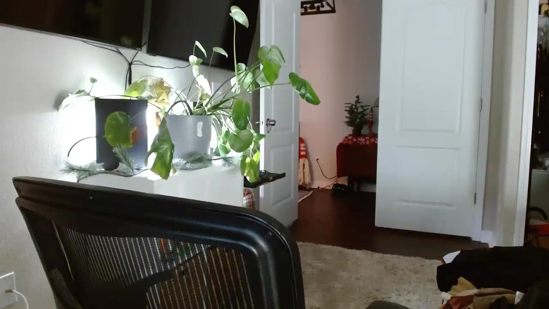 Sarah_Stark video thumbnail