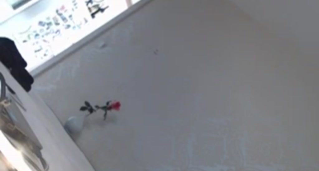 Suschela video thumbnail