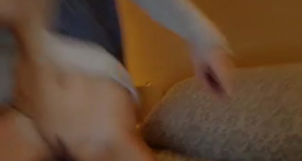 CristineTyler video thumbnail