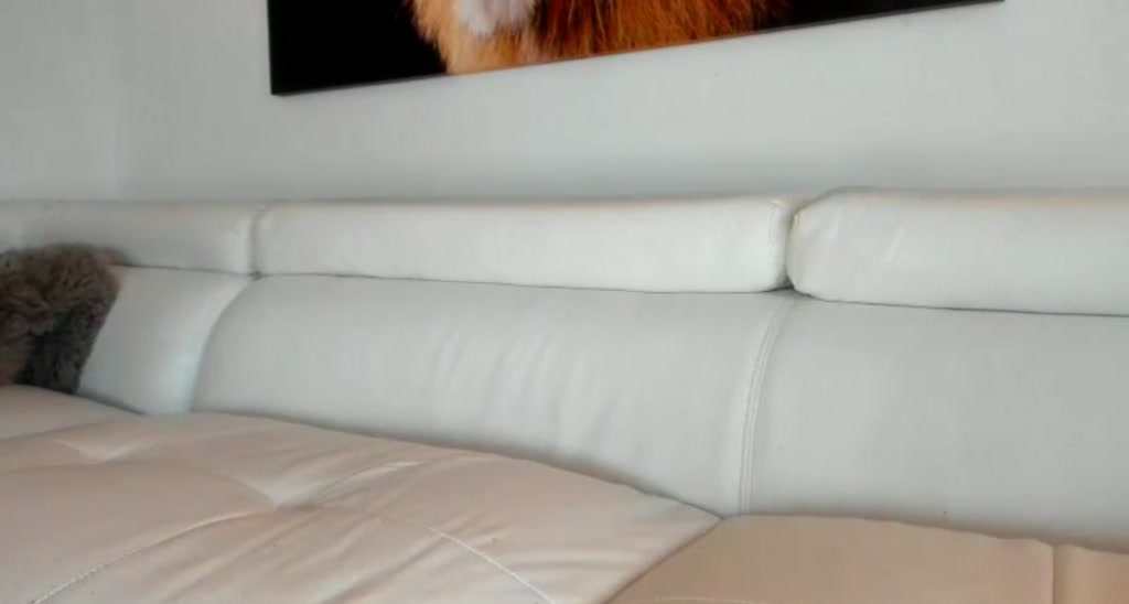 Mollyboots video thumbnail