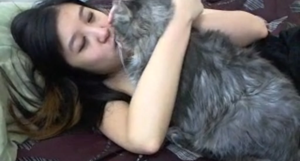 CosmicNeko video thumbnail