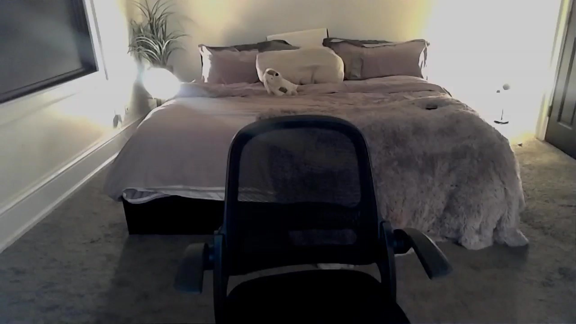 A1_Scarlett video thumbnail
