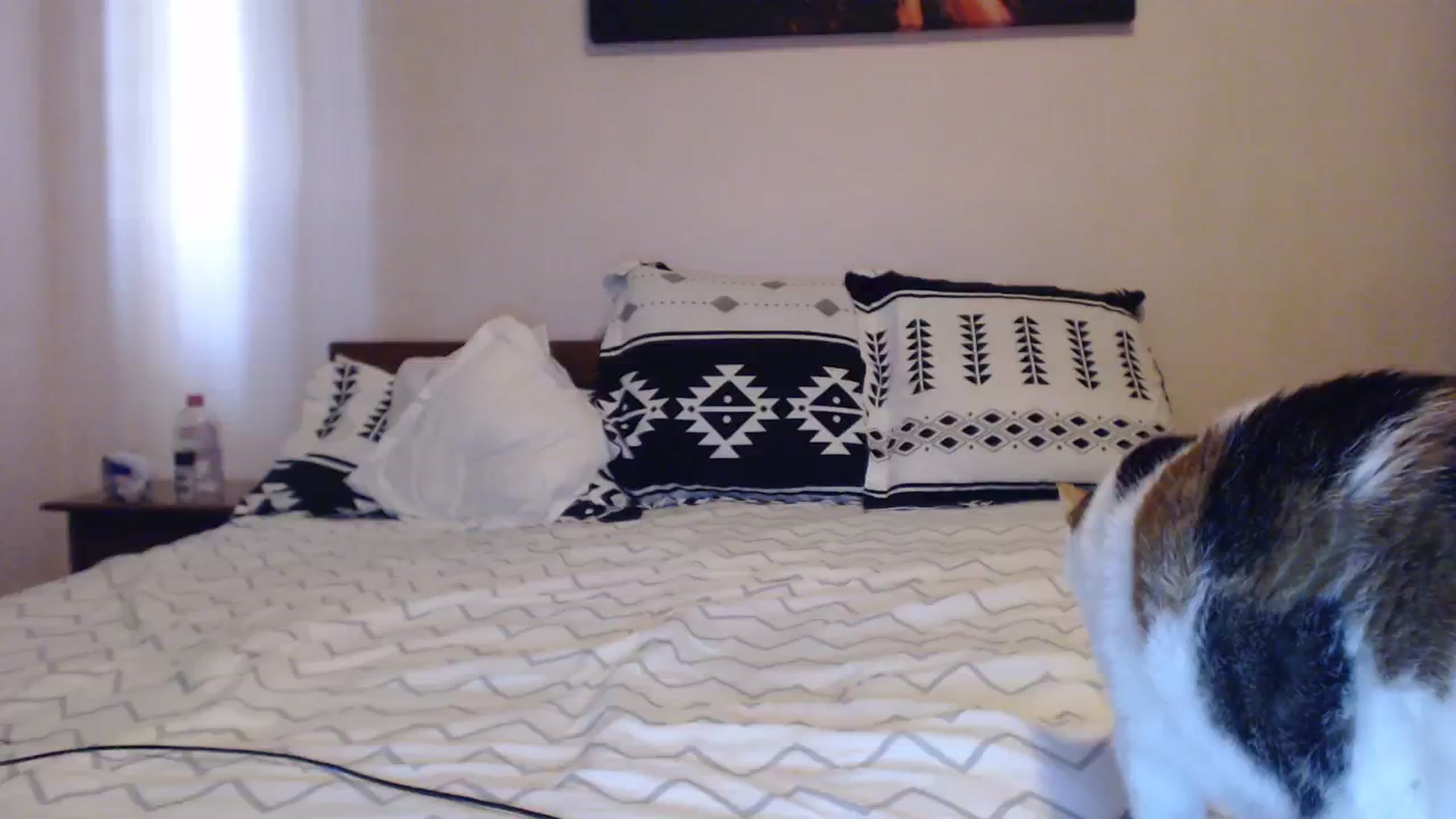 Aahh_Emilia video thumbnail