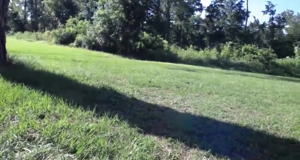 RocknRose video thumbnail