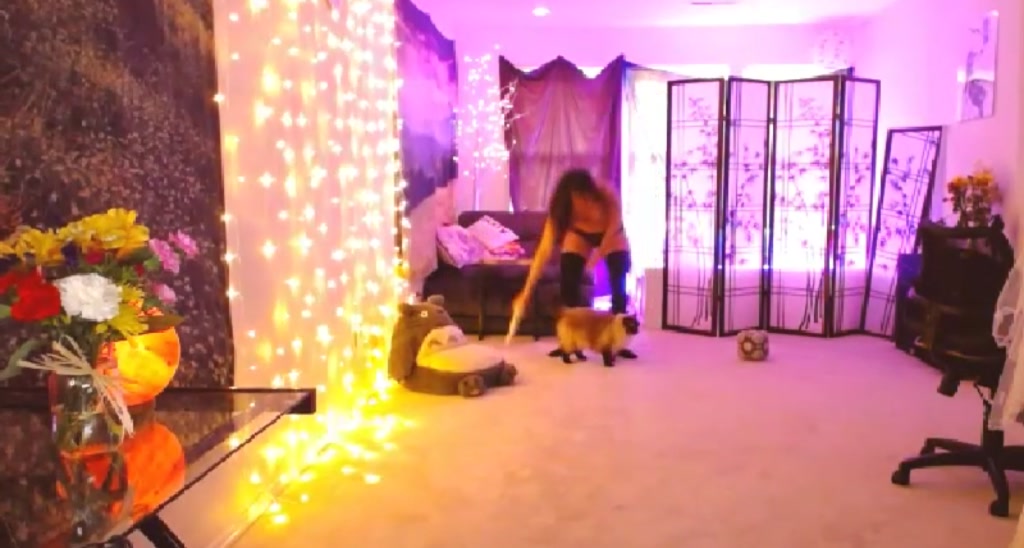 HyruleFairy video thumbnail