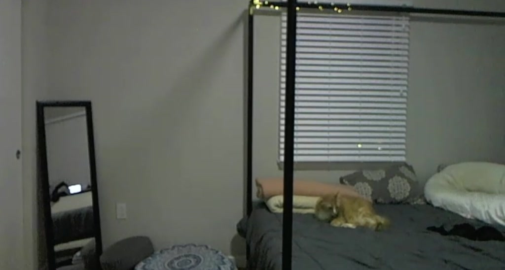 Ivy__ video thumbnail