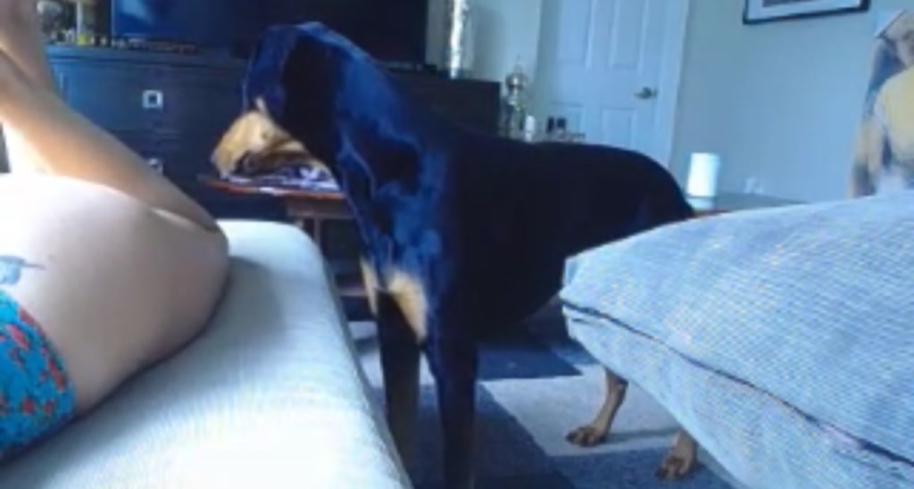 Skye_Evans_ video thumbnail