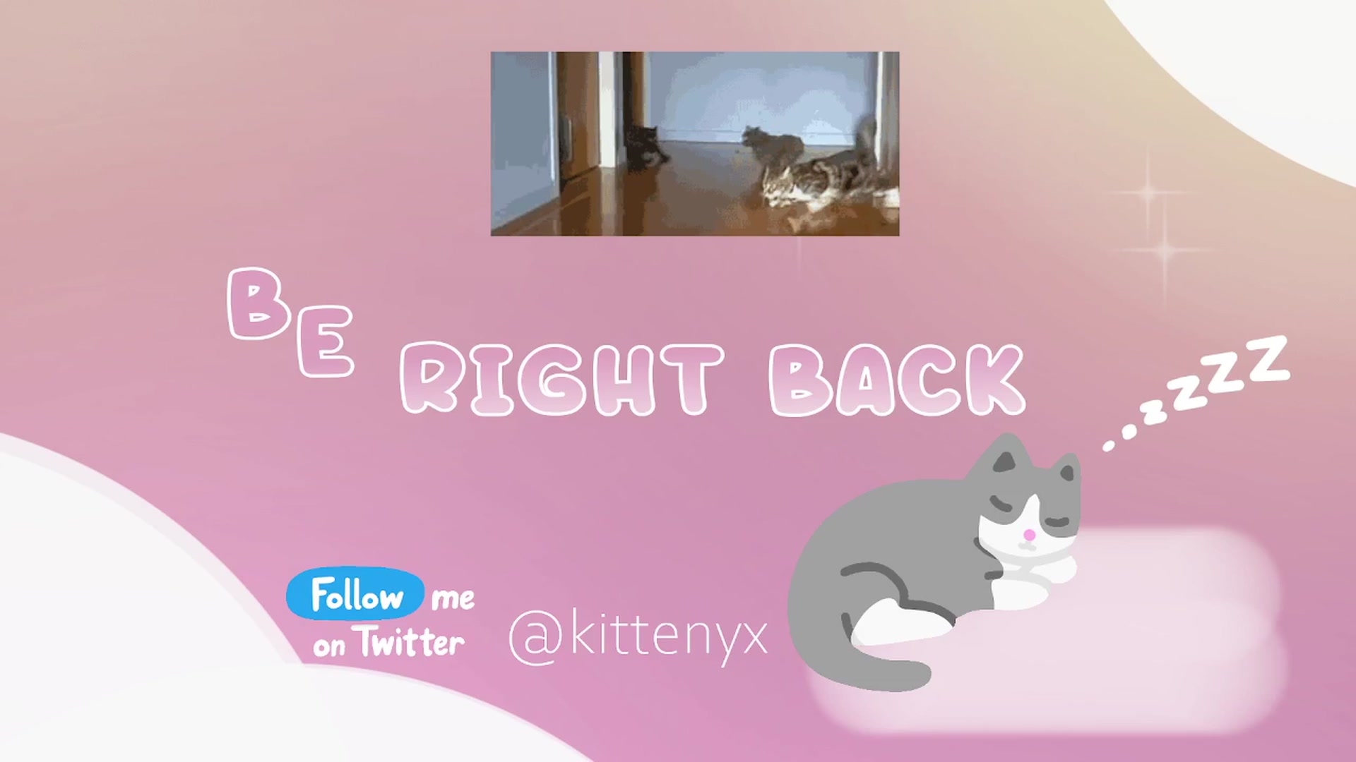 Kittenyx video thumbnail