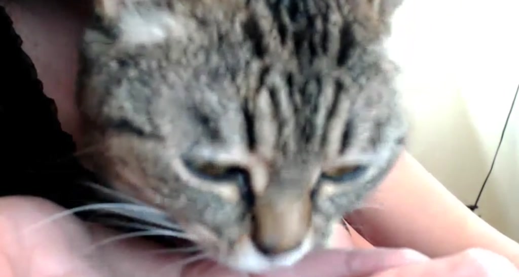 TiggerRosey video thumbnail