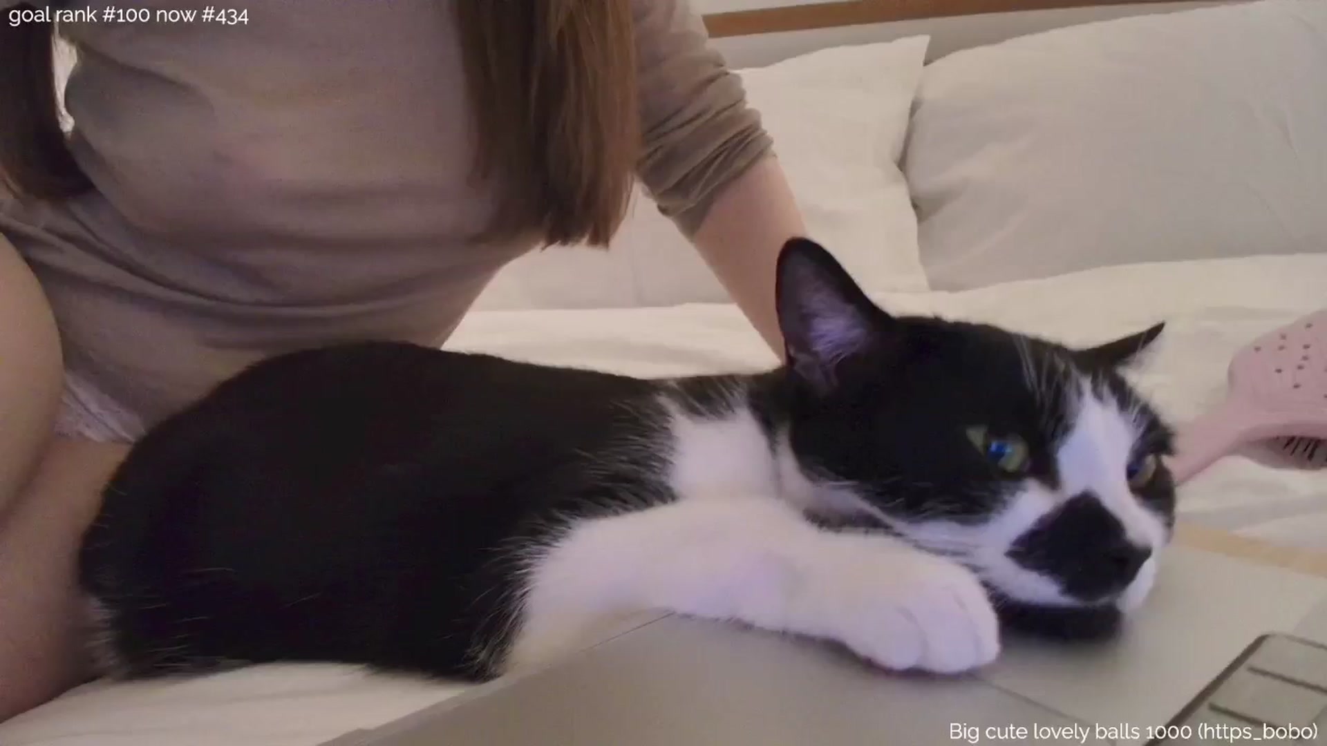 https_sophie video thumbnail
