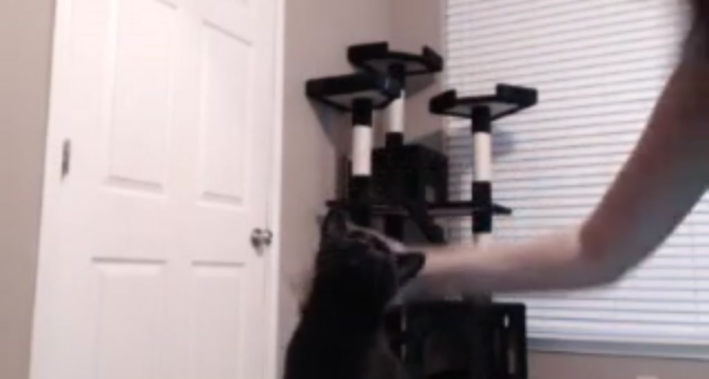 LadyMarceline video thumbnail