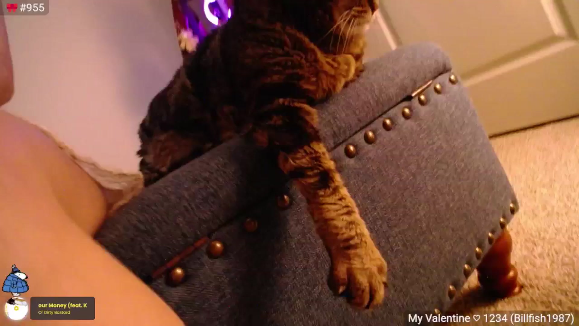 Monica video thumbnail
